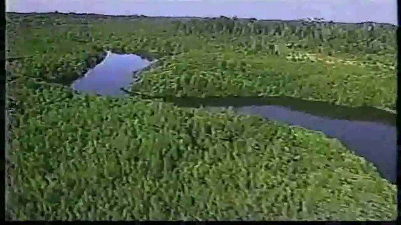 Cierre Transmisiones TVN - (1993 - 2001)