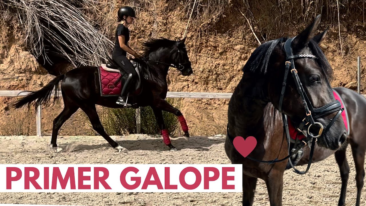 Galopo por primera vez 😱+ salgo al campo 🌿con mi poni! MISS MARPLE 🦋