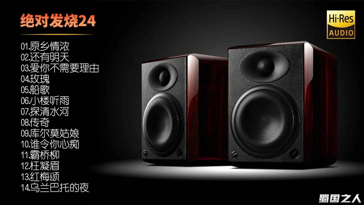 【绝对发烧24】一张令你无可挑剔的发烧人声天碟 ，众多资深歌手风格各异的演唱！