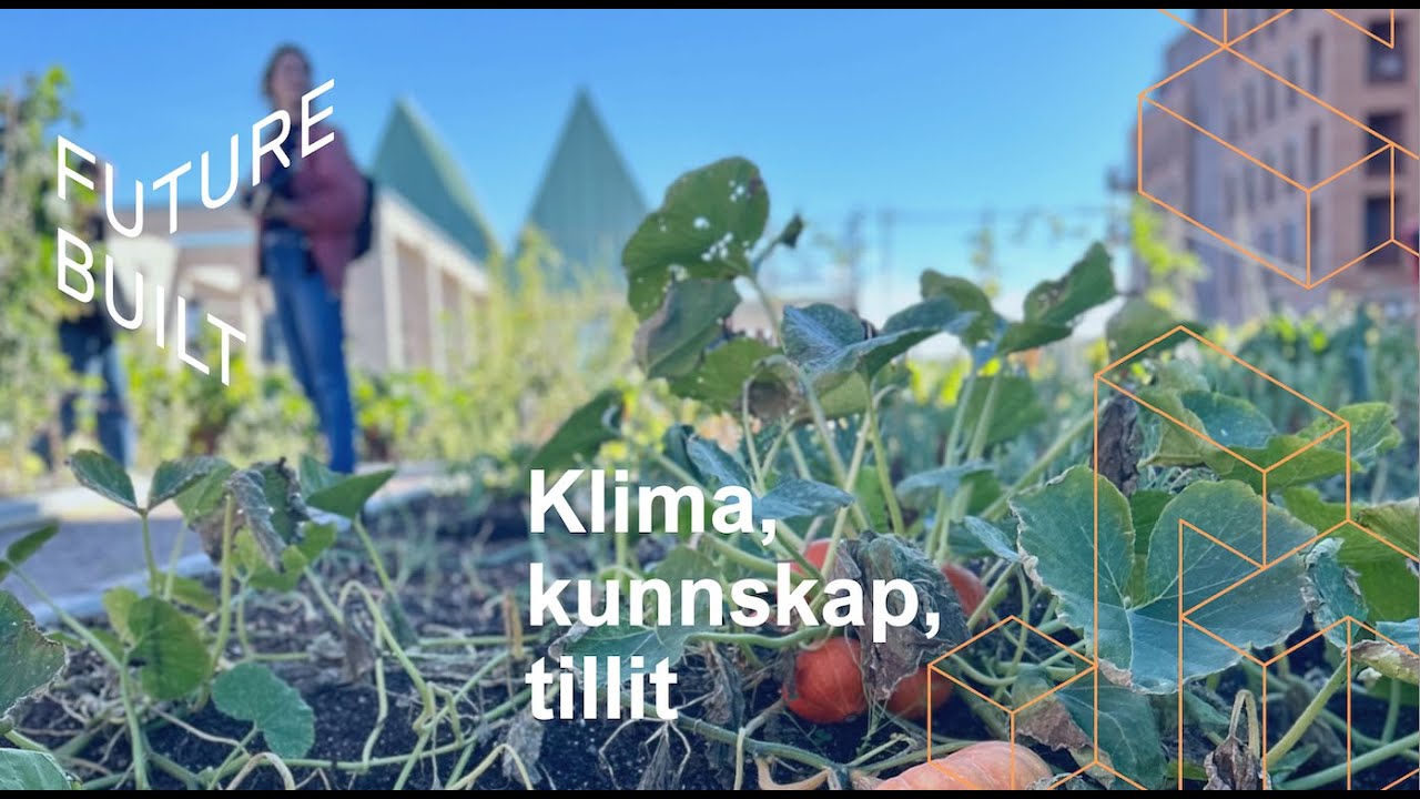 DEL&LÆR: Klima, kunnskap og tillit – den gode prosessen