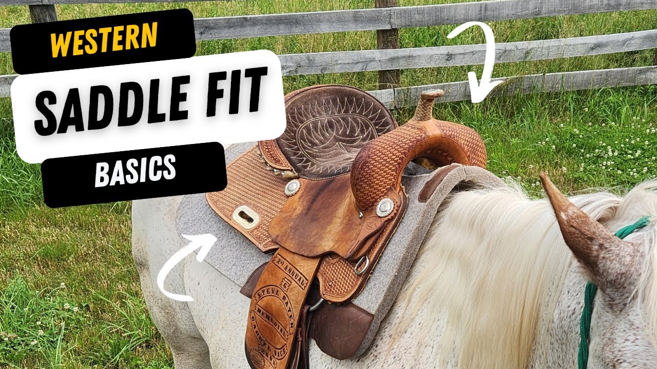Western Saddle Fit Basics