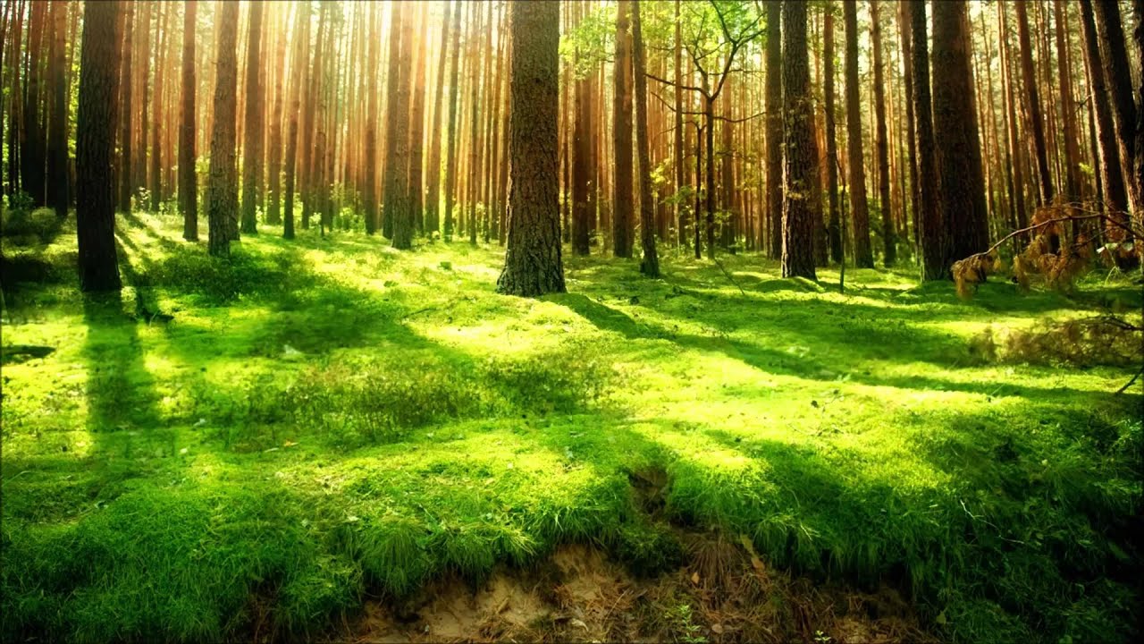 Melodic Vocal Dubstep mix 2014-2015 vol.5 1 hour+ (HD) by Johny