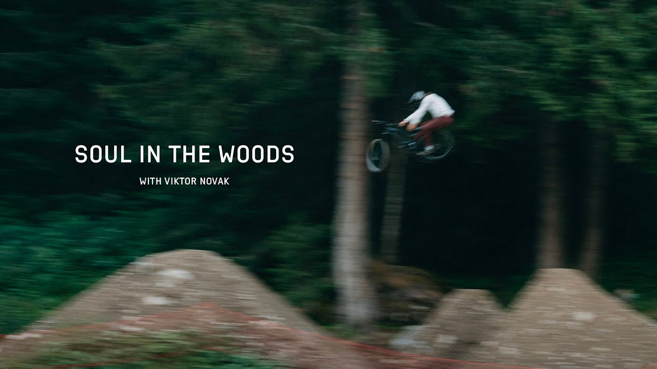 VIKTOR NOVAK - SOUL IN THE WOODS