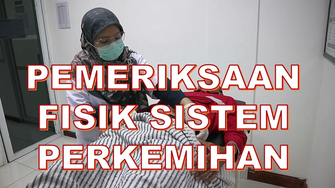 Pemeriksaan Fisik Sistem Perkemihan