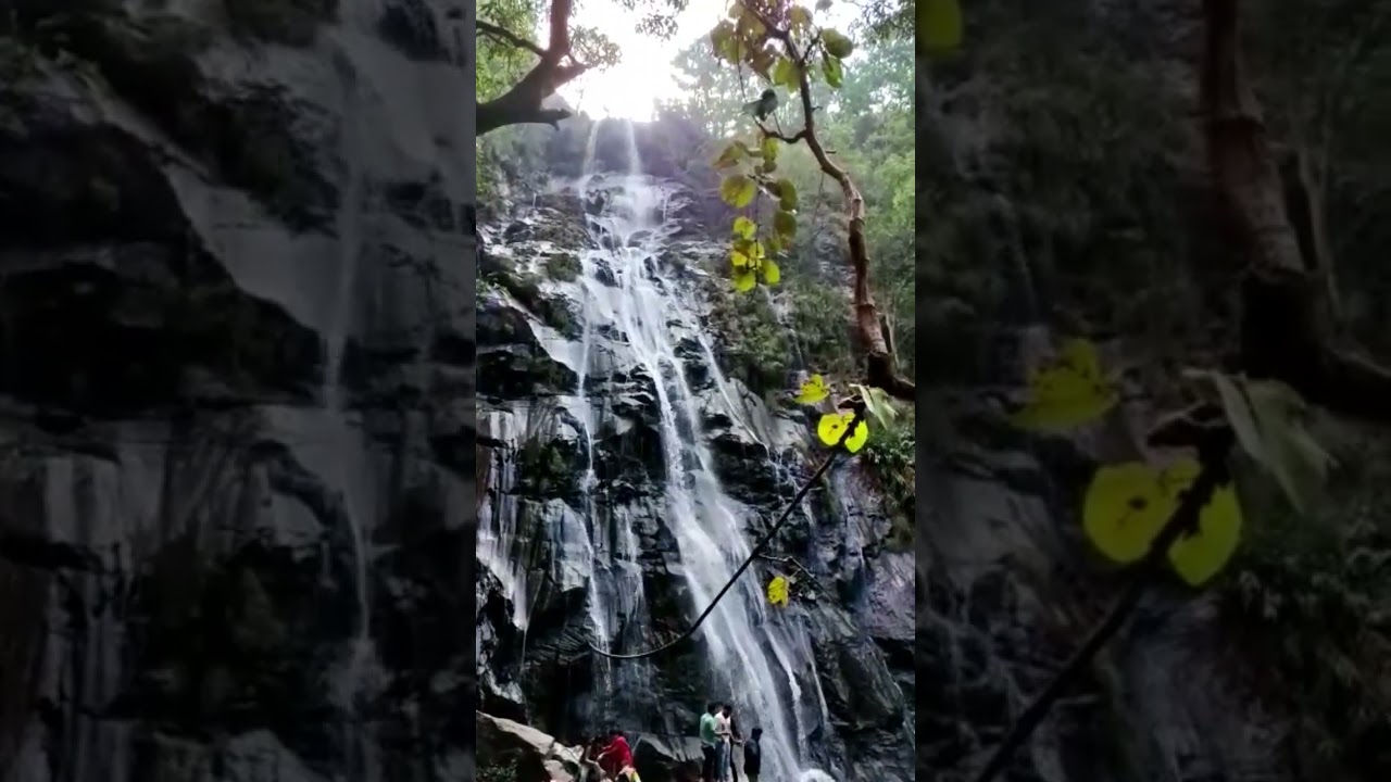 Bee fall Pachmarhi, MP