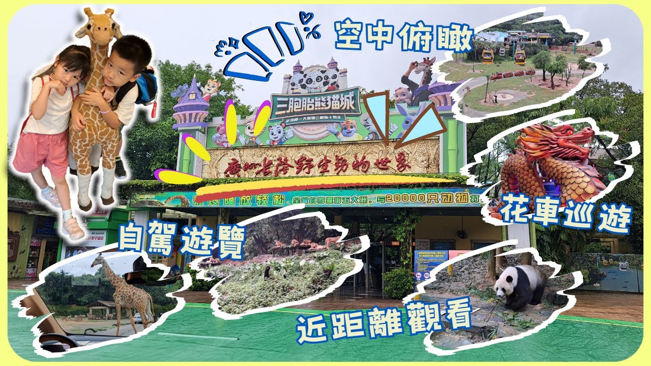 長隆三日兩夜最後一天:自駕遊動物園🐅🦒🐘，🐼近距離看熊貓 - 廣州長隆野生動物園 Chimelong Safari Park|雍雍遊內地第七集 (附CC字幕)|觀看野生動物 | 大熊貓三胞胎 | 纜車