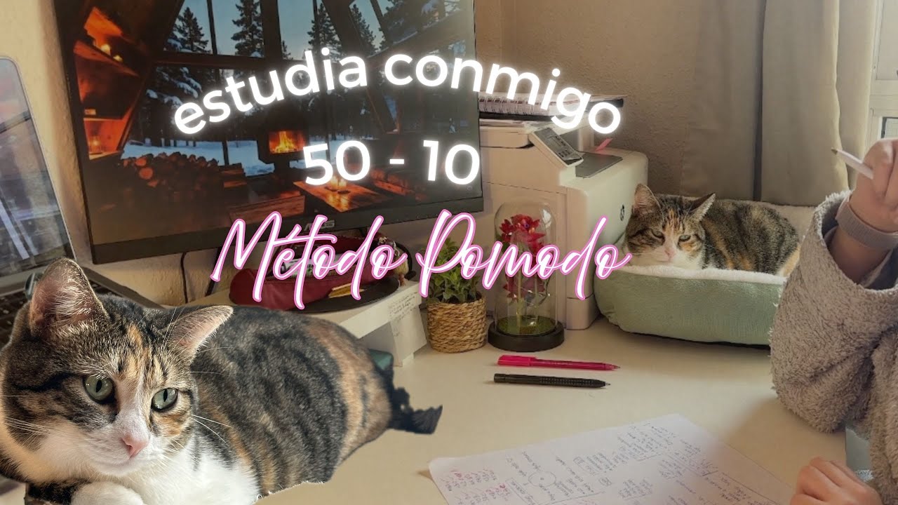 2 HORAS de PURO ESTUDIO | Pomodoro 50/10 + Mis Gatos 🐱 | Máxima Productividad