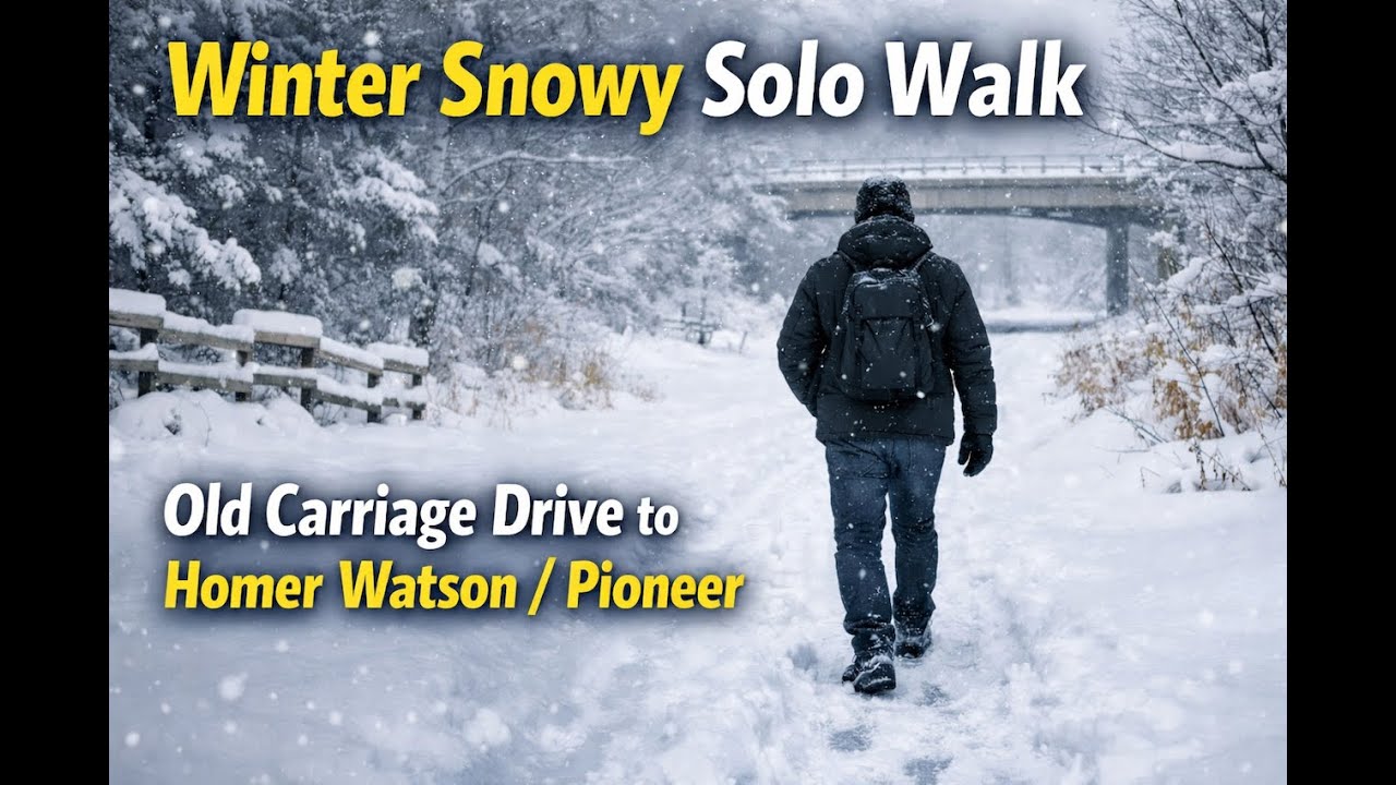 Quiet Winter Walk Through Snow | Old Carriage Drive to Homer Watson / Pioneer