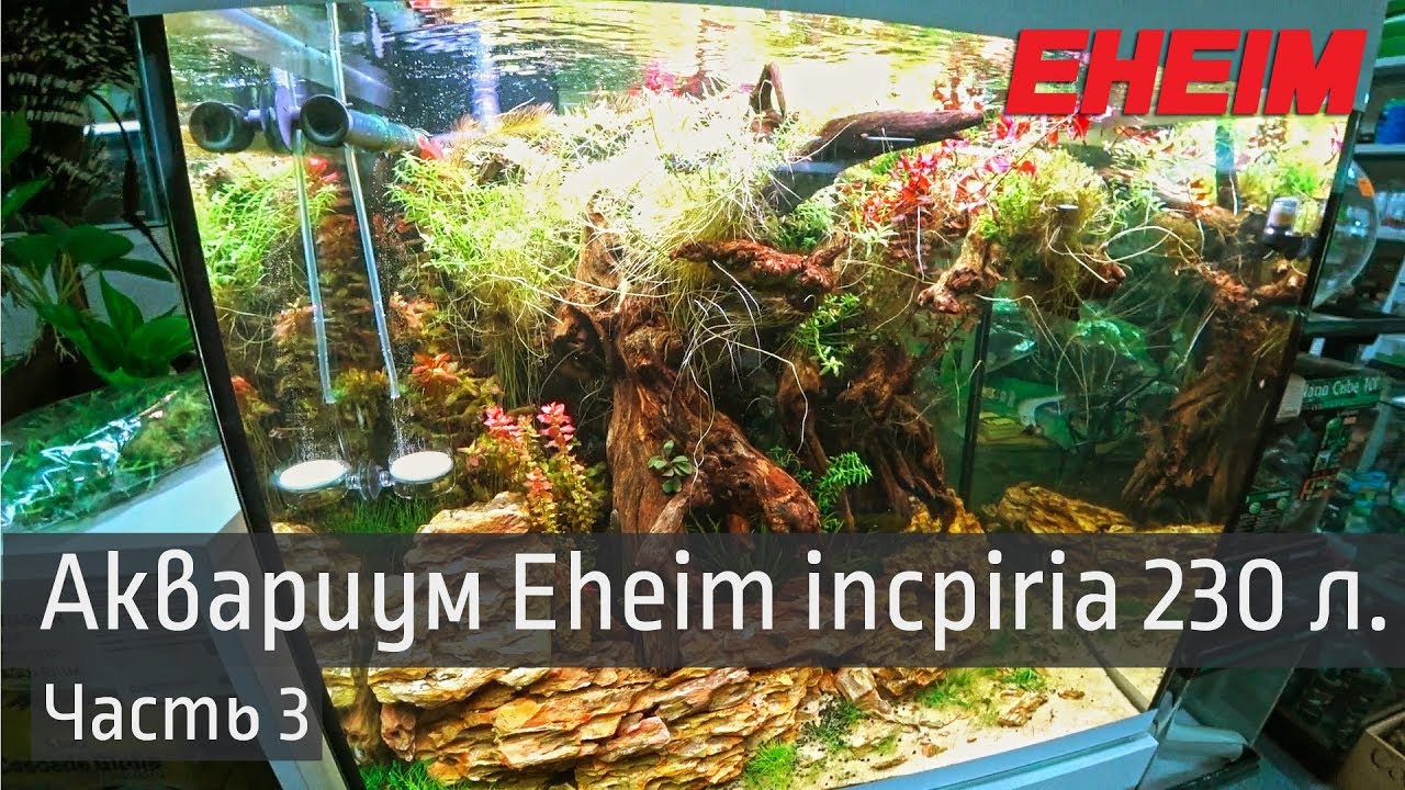 Аквариум 230 л.  Eheim incpiria.  Часть 3.  Система CO2, wifi модуль и доп. светильник.