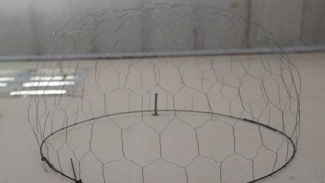How to make cage bird | Make bird trap
