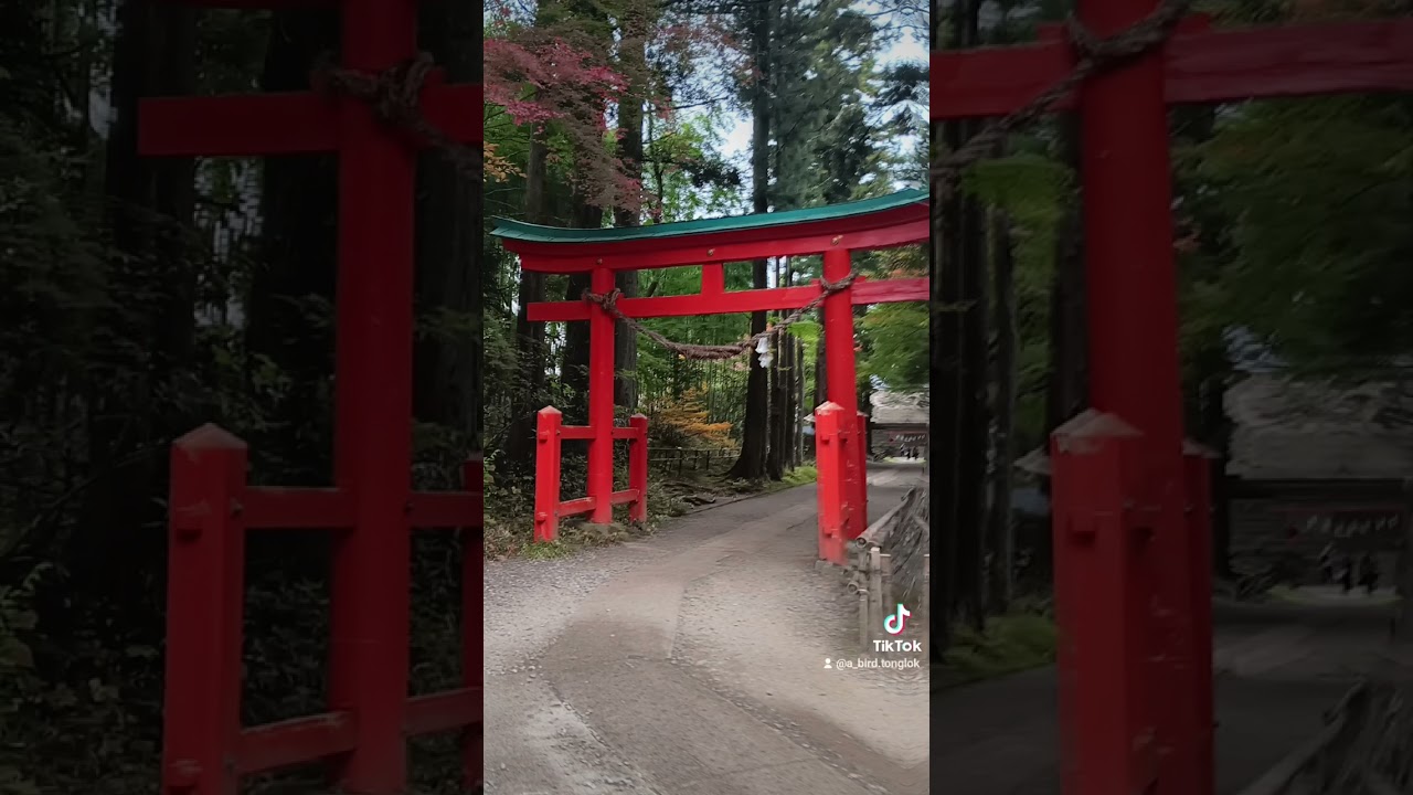 เดินในวัด Motsuji