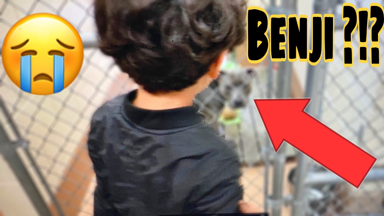 Did we Find BENJI ?!? | Lito and Maddox family