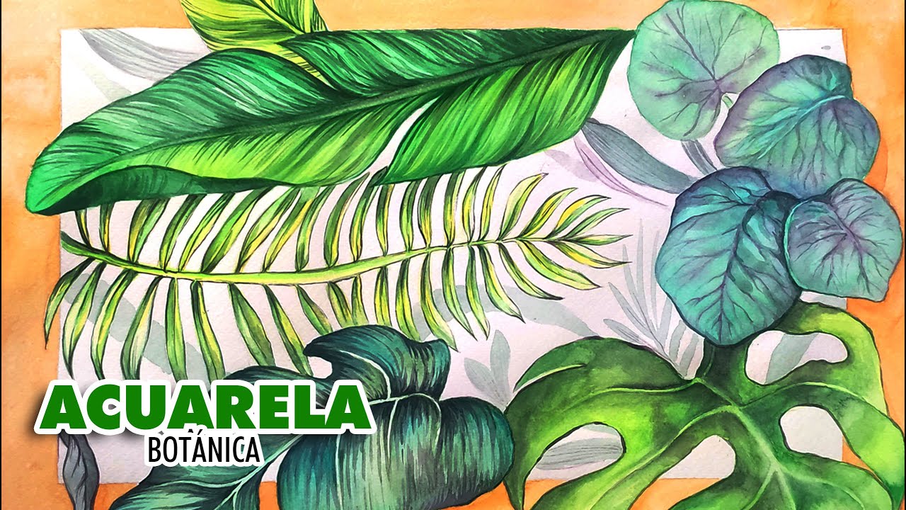 🎨 Acuarela Botánica / Botanical Watercolor