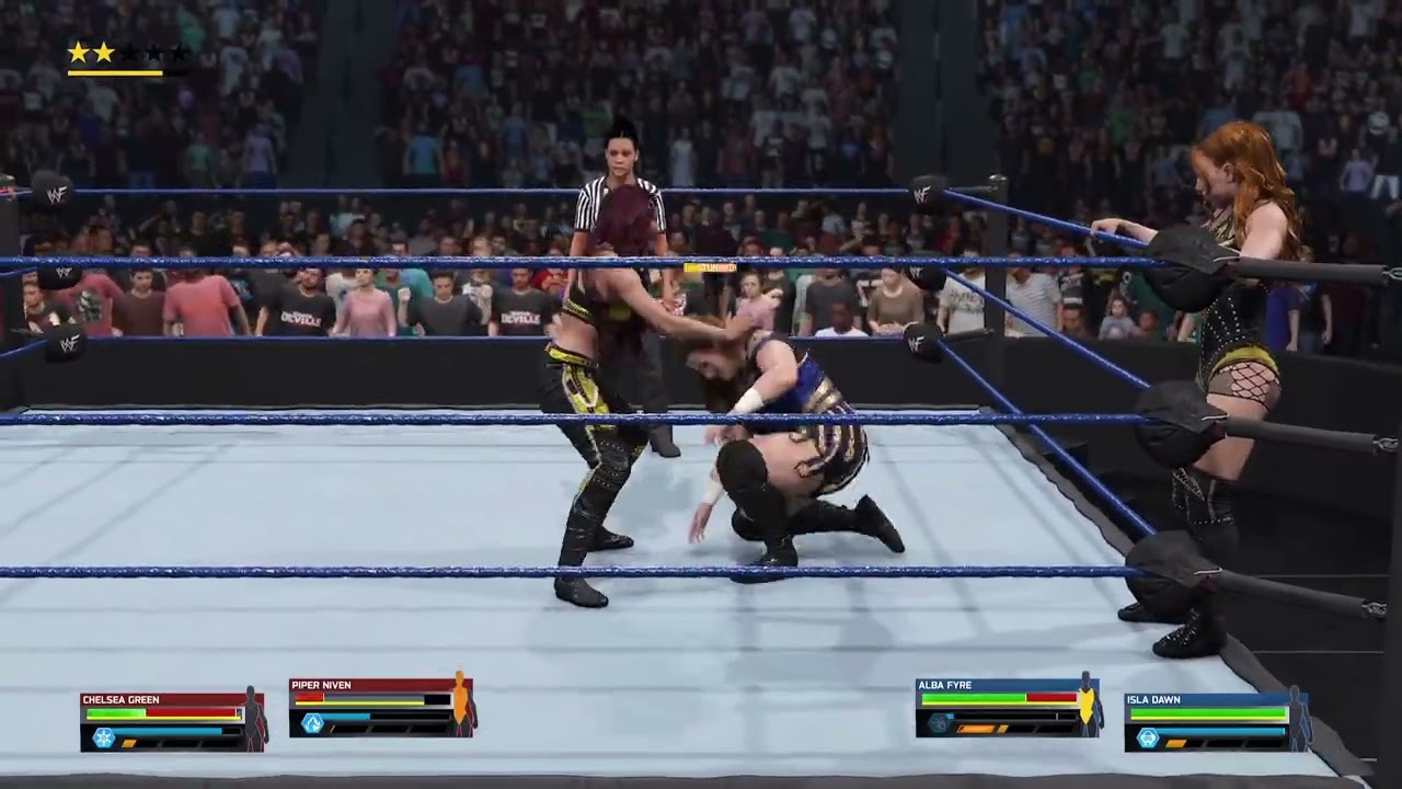 Wwe women  tag  team  championship 