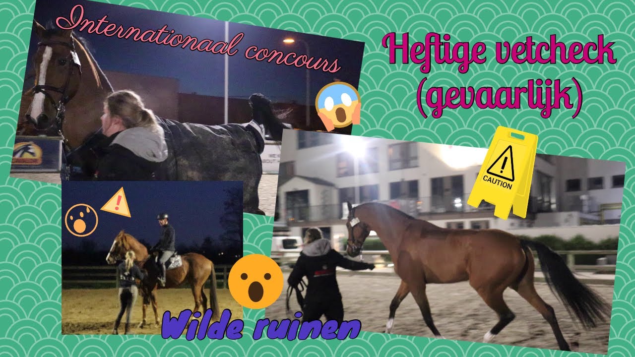 ‼️HYSTERISCH PAARD BIJ VETCHECK INTERNATIONAAL CONCOURS😰😨