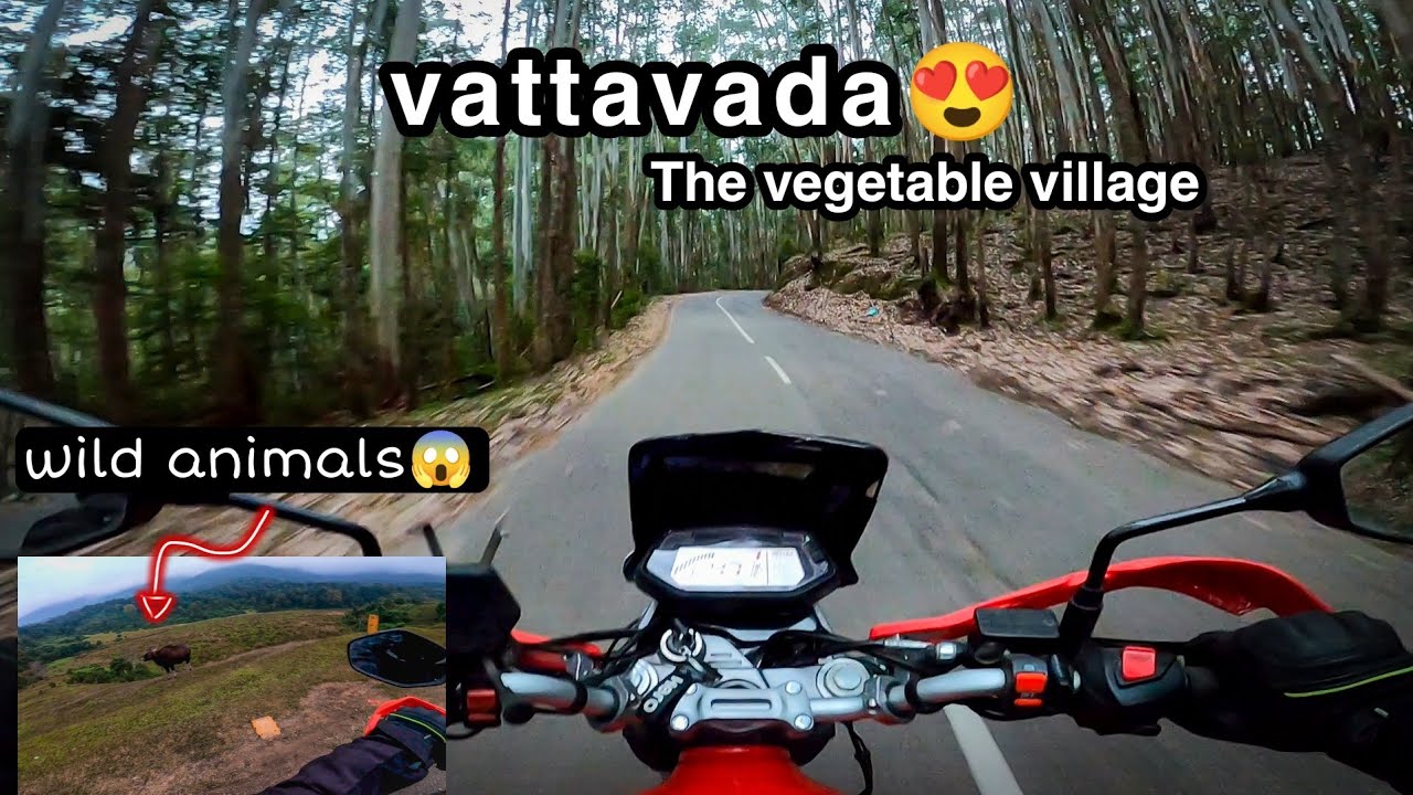 Vattavada😍The vegetable village | wild animals😱indian bison | strawberry farm | fun😂 