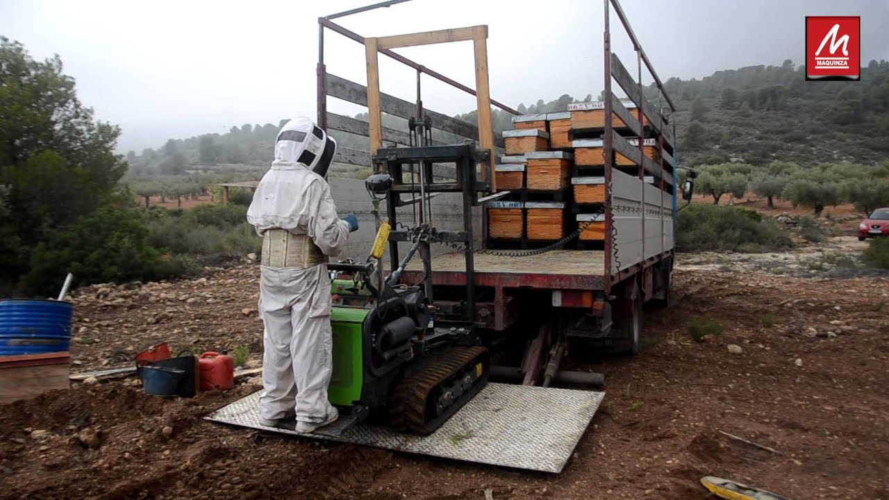 APICULTOR EN CAMPO MERLO CINGO M10.2