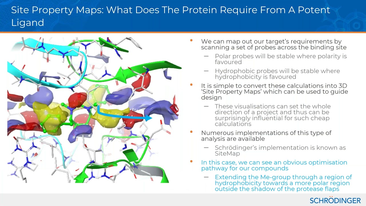 Modern Computational Workflows for Molecular Design Using the Schrödinger Platform
