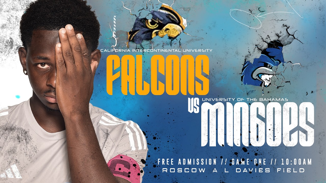 Falcons VS MIngoes Hightlight Game One