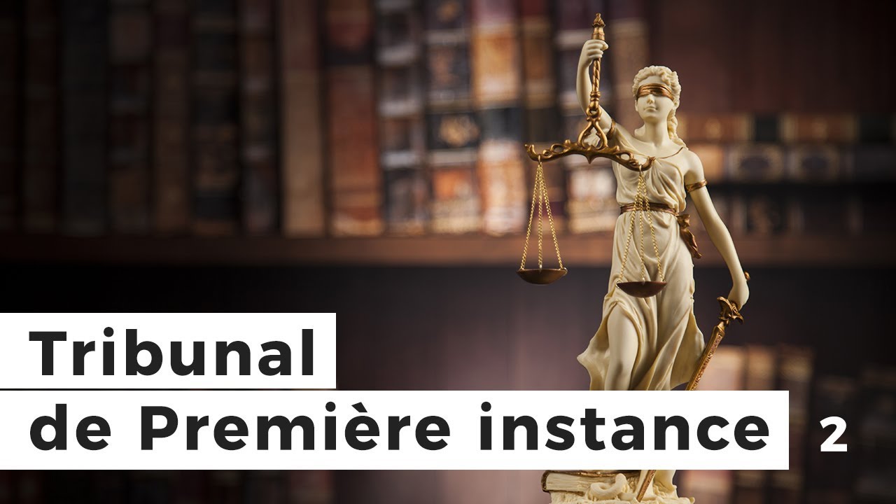 2. Le Tribunal de Premi&egrave;re instance et ses comp&eacute;tences