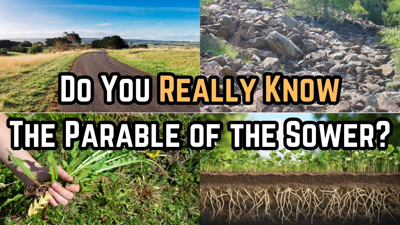 What Kind of Heart Do You Have? | East End church of Christ