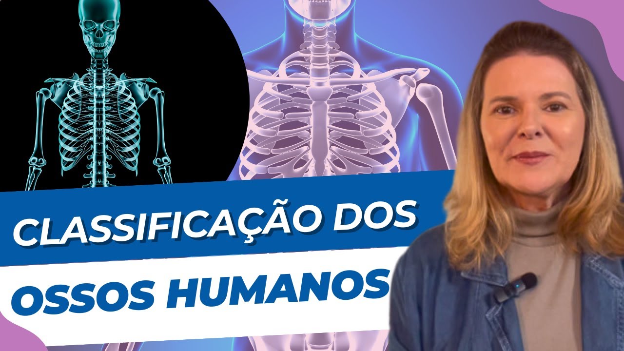 Classifica&ccedil;&atilde;o dos Ossos do Corpo Humano | Anatomia para Voc&ecirc;
