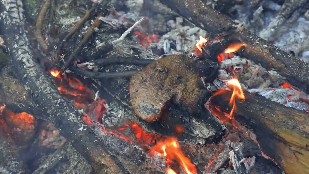 Solo Backcountry Camp in 3°C Kyoto Mountains | Mystery Bone & Fire-Cooked Steak