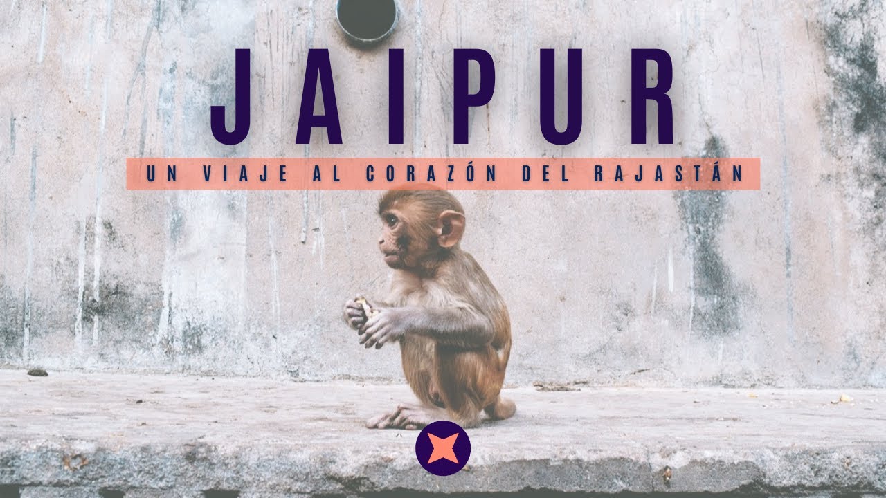 Recorriendo la CIUDAD ROSA de la India: JAIPUR