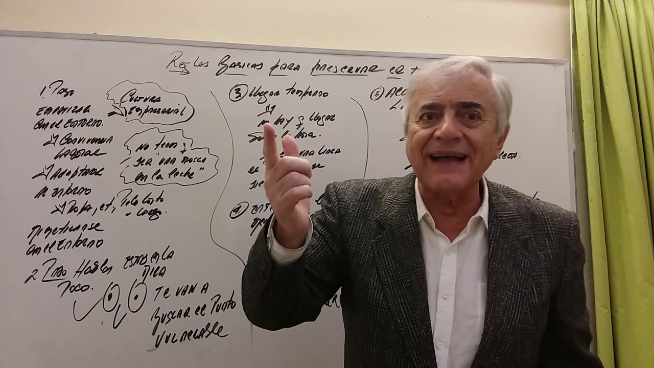 reglas BÁSICAS  para conservar  mi trabajo en RELACIÓN DE DEPENDENCIA