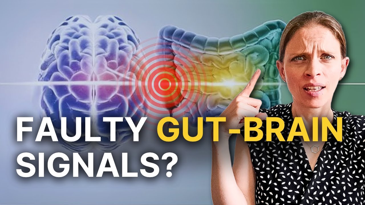 IBS? The REAL Problem Might Be Your Gut-Brain Connection!