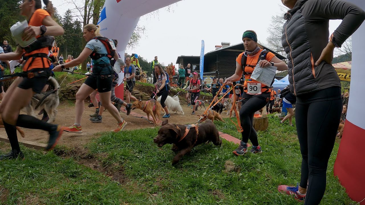 Puchar Polski w Dogtrekkingu w G&oacute;rach Sowich