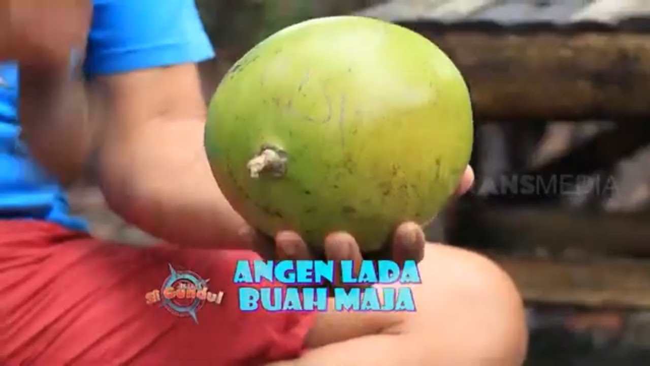 ANGEN LADA BUAH MAJA | JEJAK SI GUNDUL (15/09/22)