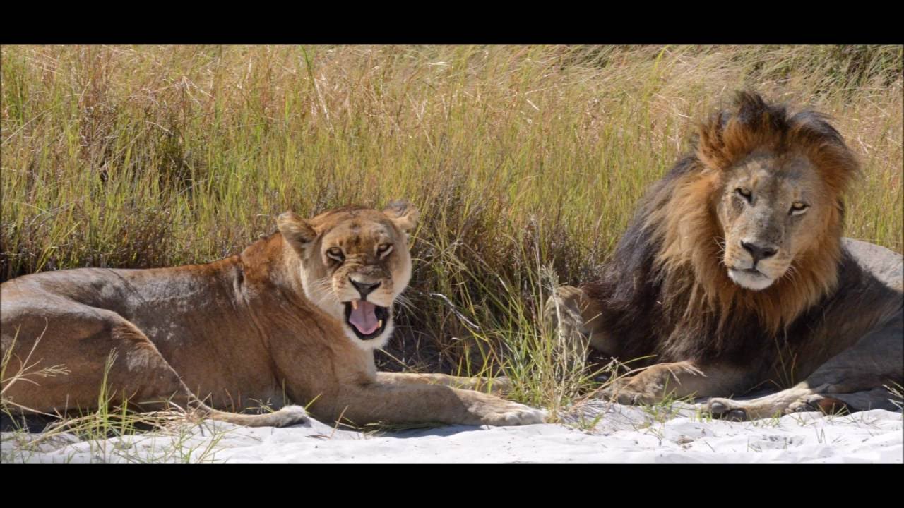 Self Drive Adventures - Africa May 2016