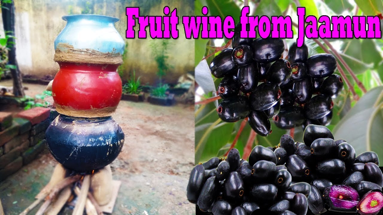 Alcoholic free Homemade--How to make  sweet wine from Jaamun--- जामुन से फ्रूट वाइन कैसे बनाये