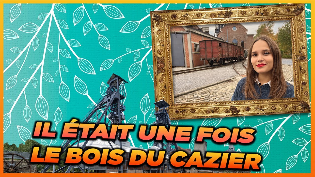 Il &eacute;tait une fois... Le bois du Cazier !
