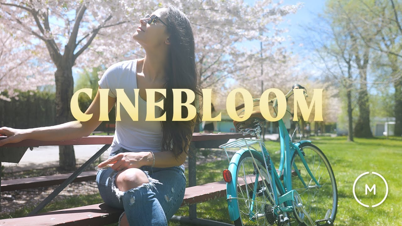 MOMENT CINEBLOOM Filters | Creating Diffusion Magic