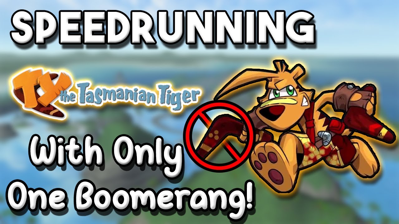 Speedrunning Ty With Only One Boomerang!