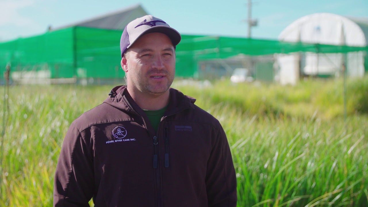 Pūniu River Care (Freshwater Improvement Fund)