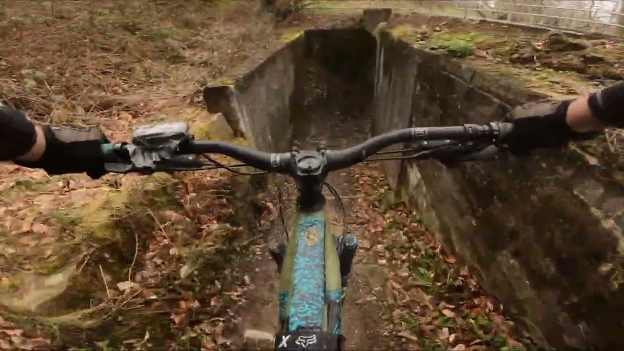 Cwmcarn DH trails; Y Mynydd and Pedalhounds, Cwmcarn.