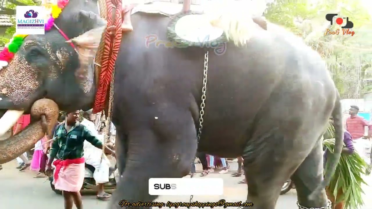 Pazhambalacode Vela - 2023, Palakkad district, Kerala_[QV]