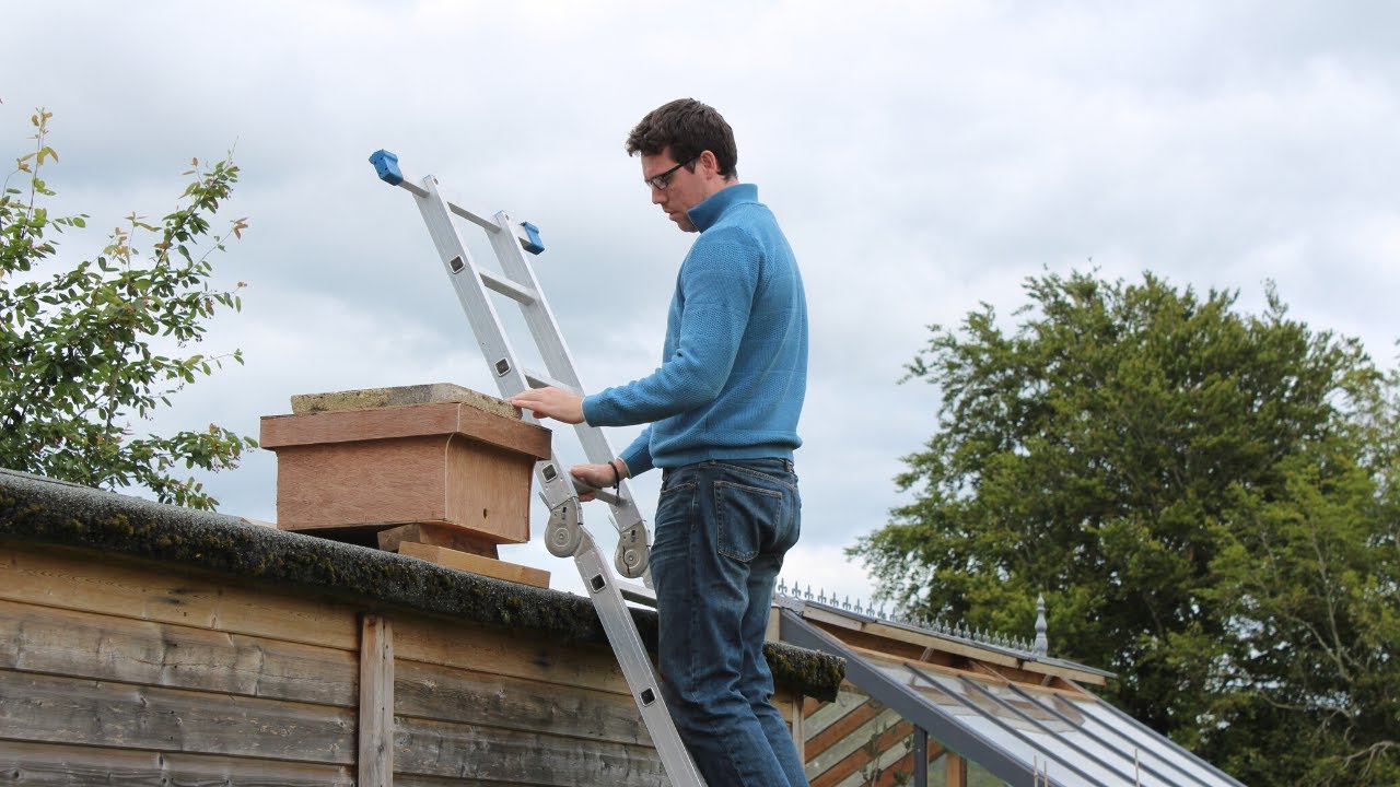 Bait Hive Update | UK Beekeeping Vlog 7