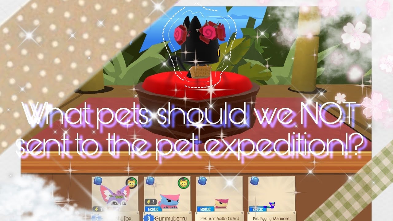 【Ufufy Fluffy】What pets should we NOT sent to the expedition in AJ
