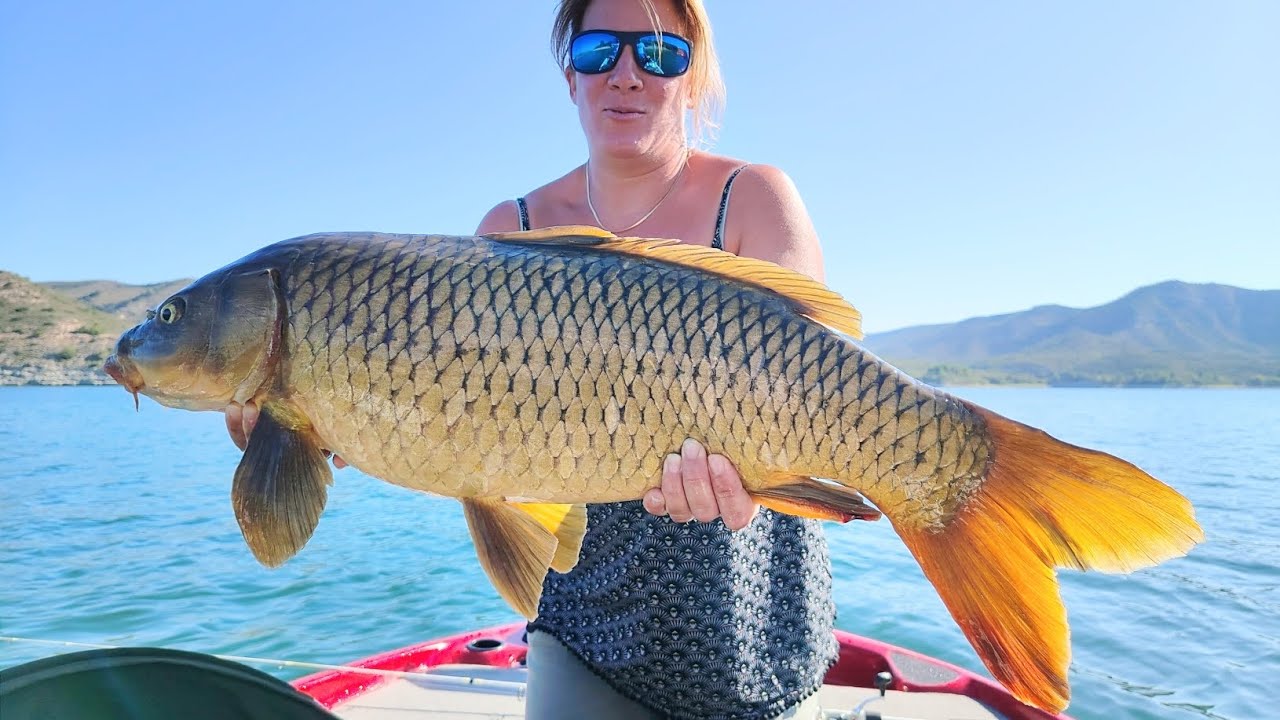 Les carpes aux leurres ✍️ PFC