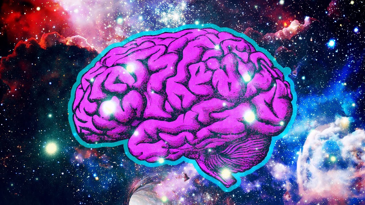 What are Qualia?