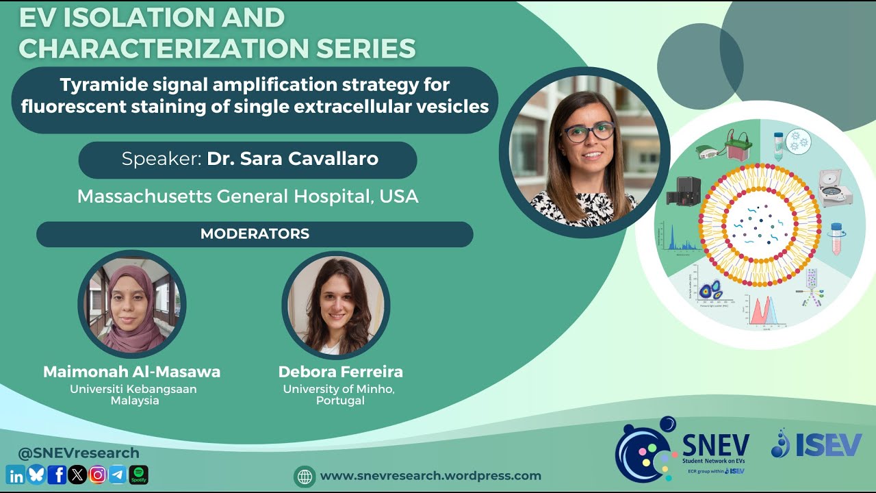 Tyramide signal amplification strategy for fluorescent staining of single extracellular vesicles
