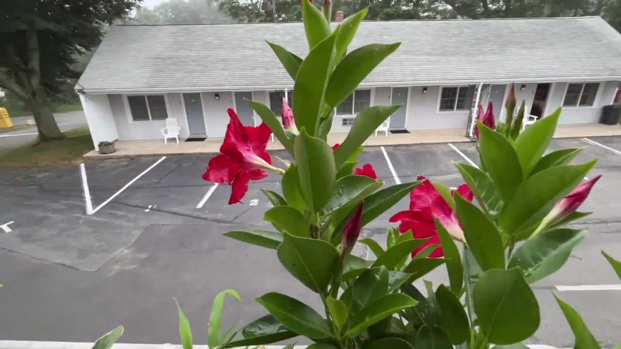 Skaket Beach Motel , Orleans, Cape Cod