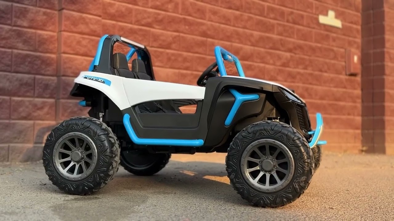DLS-X1