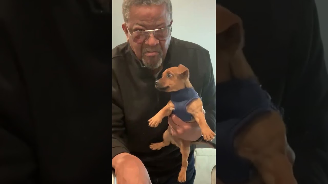 Grandpa's Favorite Companion ❤️ | The Dodo