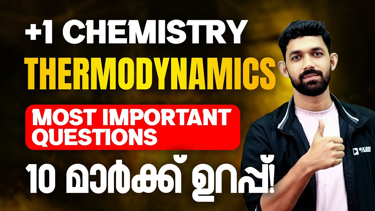 Plus One Chemistry | Chapter 5 | Thermodynamics | Important Questions | Exam Winner