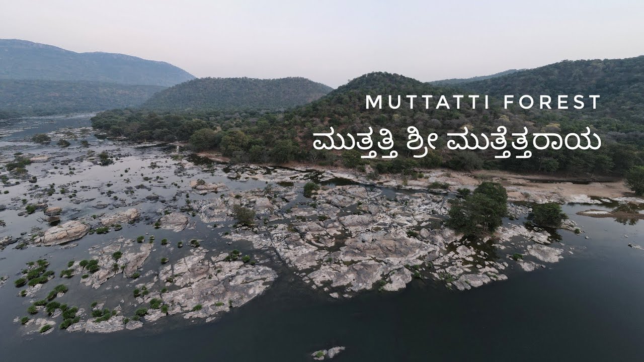 ಮುತ್ತತ್ತಿ ಶ್ರೀ ಮುತ್ತೆತ್ತರಾಯ ಸ್ವಾಮಿ ದೇವಸ್ಥಾನ ಟ್ರೈಲರ್ ವಿಡಿಯೋ|Muttatti Sri Muttettaraya Swamy Temple